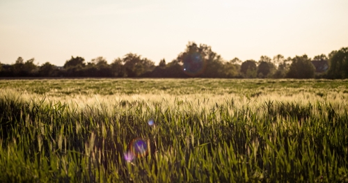 Natur in Bayerisch Schwaben